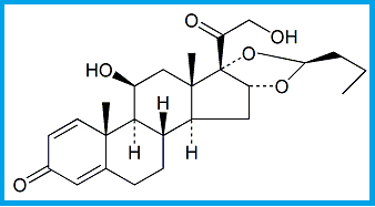 BUDESONIDE (22S)-ISOMER